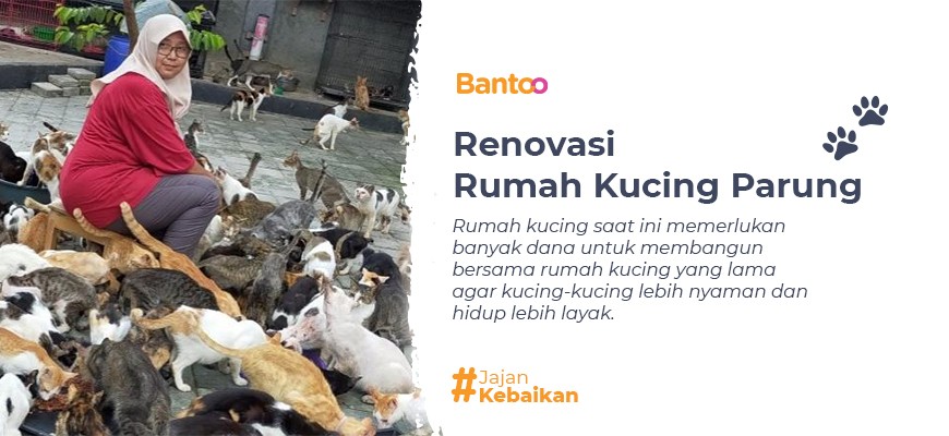 Bantoo  Renovasi Rumah Kucing Parung